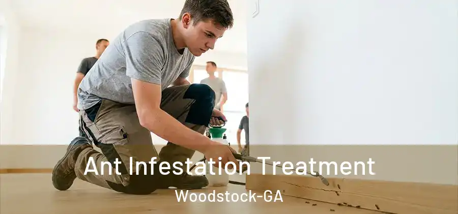 Ant Infestation Treatment Woodstock-GA