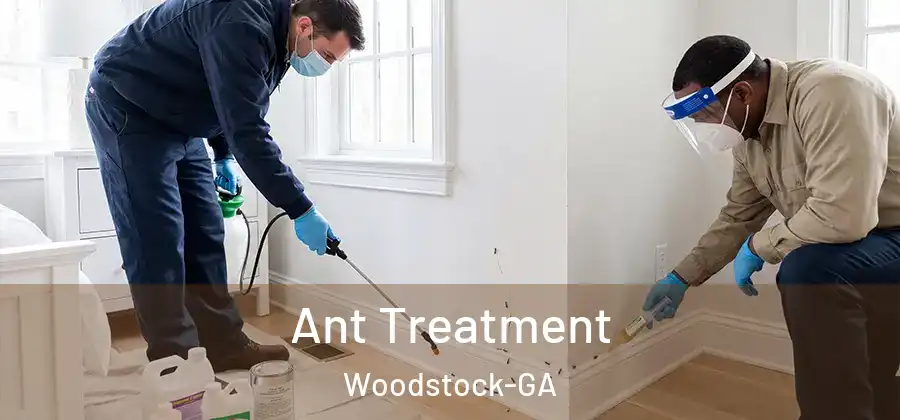 Ant Treatment Woodstock-GA