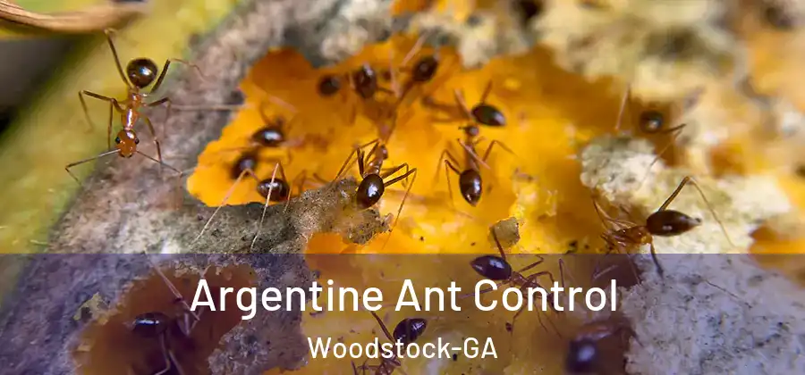 Argentine Ant Control Woodstock-GA