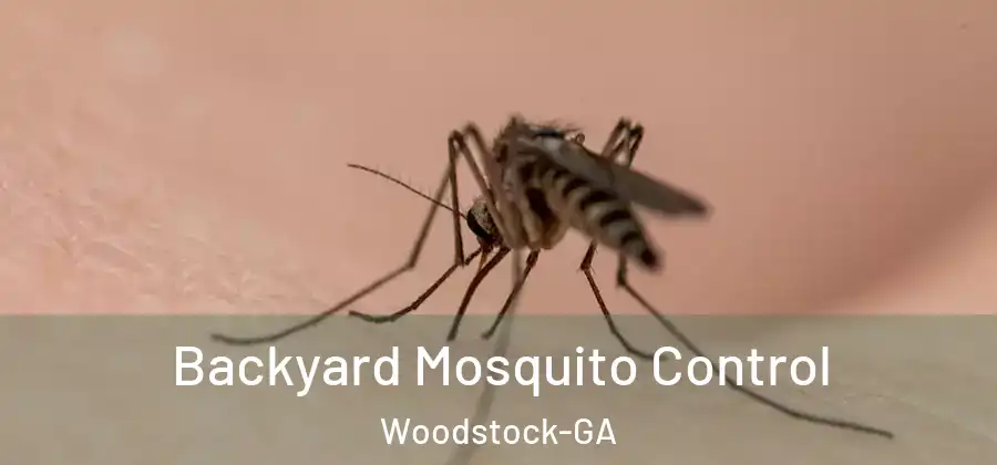 Backyard Mosquito Control Woodstock-GA
