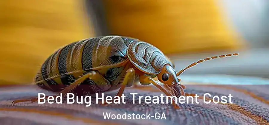  Bed Bug Heat Treatment Cost Woodstock-GA