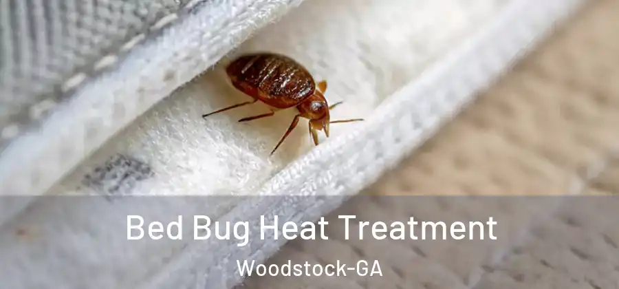 Bed Bug Heat Treatment Woodstock-GA
