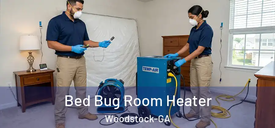 Bed Bug Room Heater Woodstock-GA