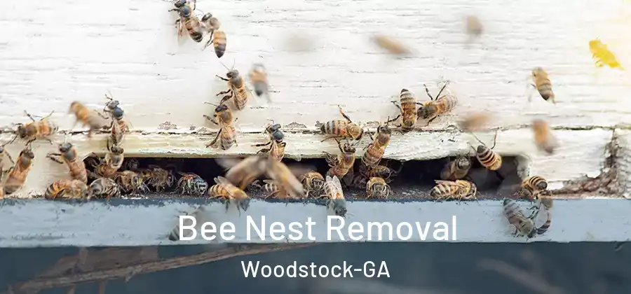 Bee Nest Removal Woodstock-GA