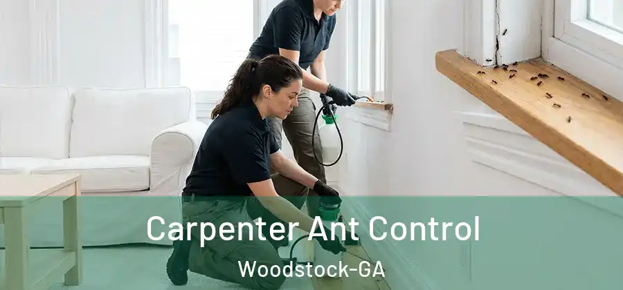 Carpenter Ant Control Woodstock-GA