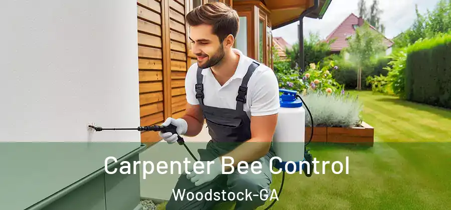 Carpenter Bee Control Woodstock-GA