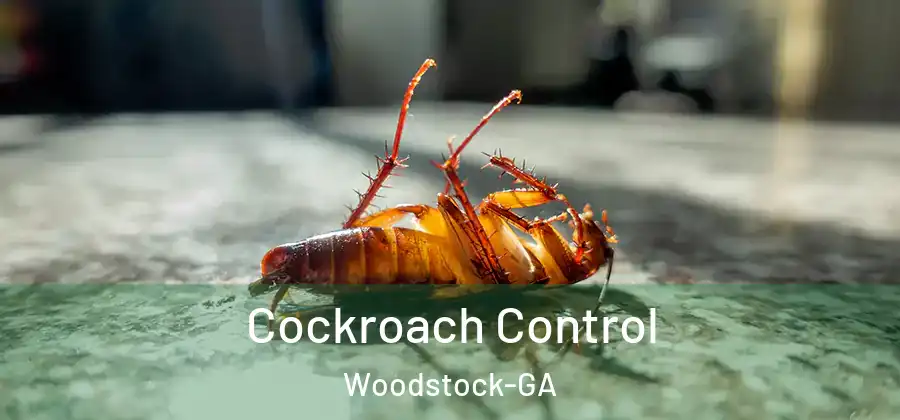 Cockroach Control Woodstock-GA