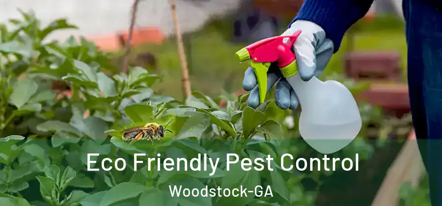 Eco Friendly Pest Control Woodstock-GA