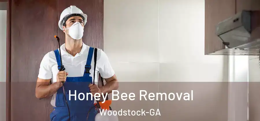 Honey Bee Removal Woodstock-GA