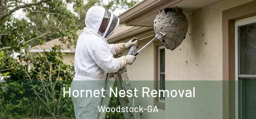  Hornet Nest Removal Woodstock-GA