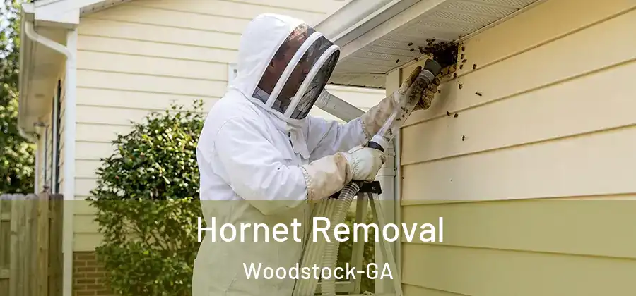 Hornet Removal Woodstock-GA