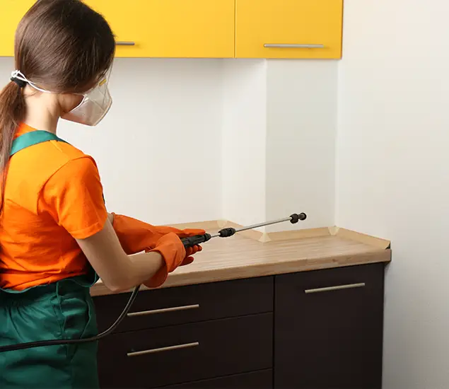 Trusted Bed Bug Pest Control Specialist in Woodstock, GA