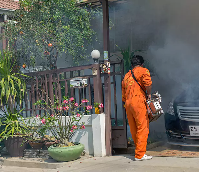 Your Proven Mosquito Fogging Company in Woodstock, GA
