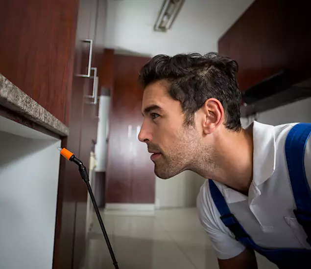 Expert Rodent in Attic Removal: Your Proven Pest Specialists in Woodstock, GA