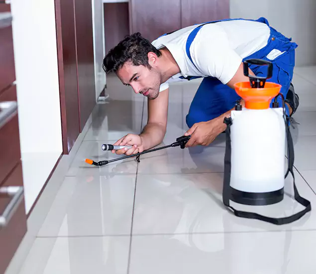 Advanced Slab Termite Treatment Experts You Can Trust&nbsp;in Woodstock, GA