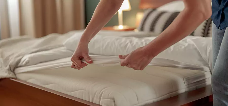 Bed Bug Extermination Services in Woodstock