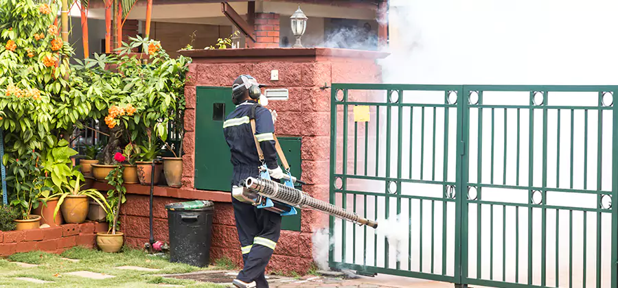 Backyard Mosquito Foggers Service in Woodstock