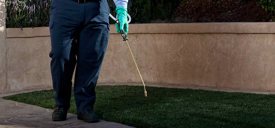 Soil Treatment for New Construction Termites in Woodstock