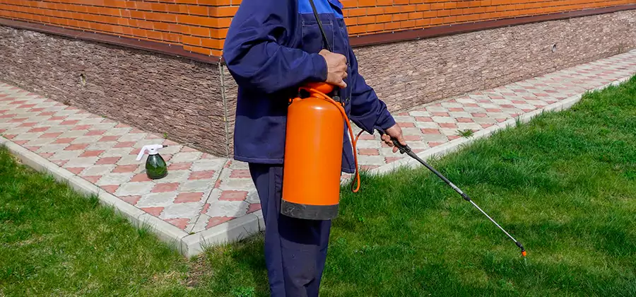 Non Toxic Termite Treatment in Woodstock