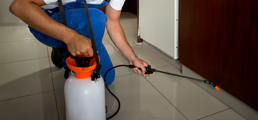 One Time Termite Control in Woodstock