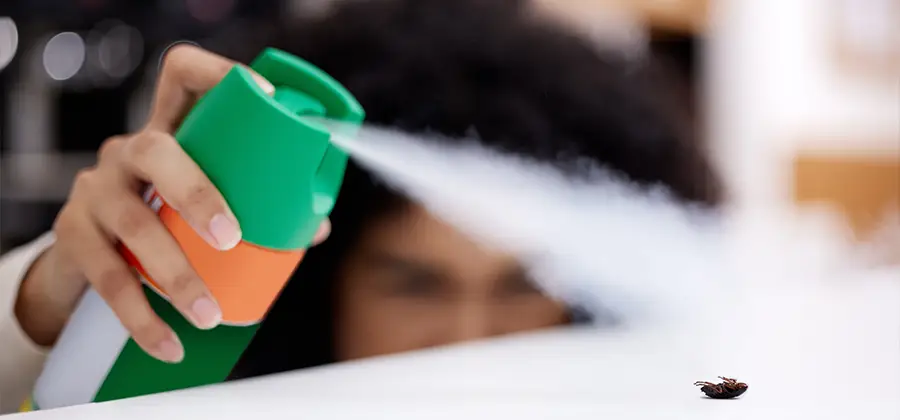 Child Safe Bed Bug Treatment in Woodstock