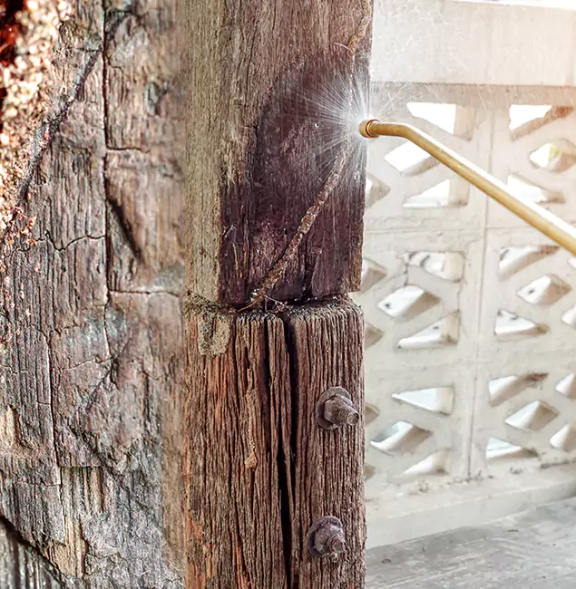 Why Choose Woodstock Pest Control Pro for Attic Termite Treatment in Woodstock, GA?