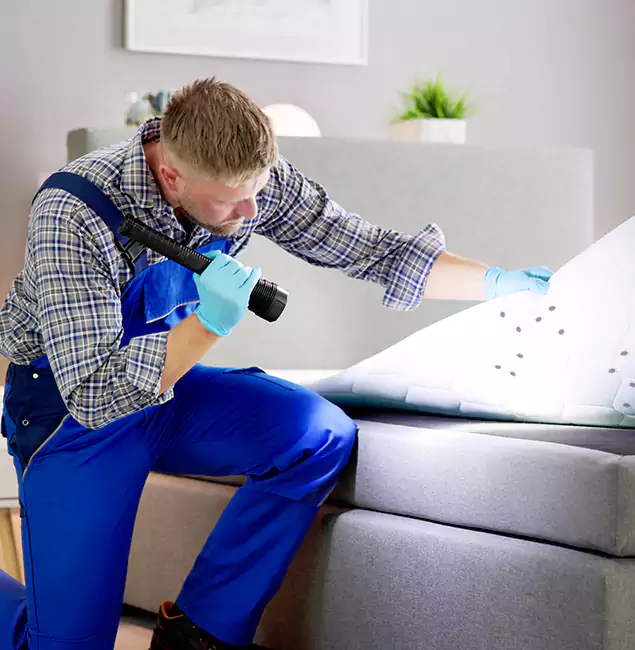 Why Choose Woodstock Pest Control Pro For Bed Bug Heat Treatment in Woodstock, GA?