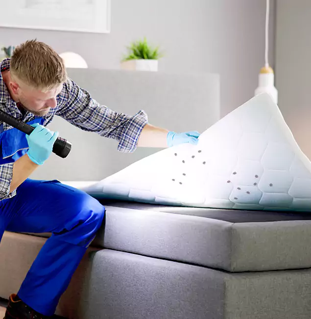 Why Choose Woodstock Pest Control Pro in Woodstock, GA?