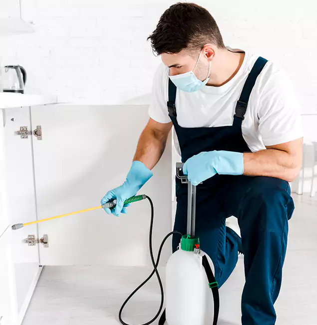 Why Choose Woodstock Pest Control Pro for Emergency Pest Control in Woodstock?