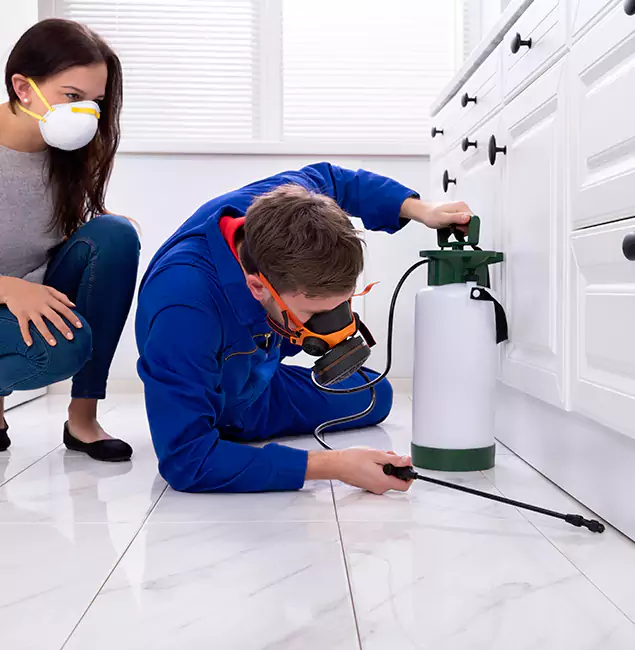 Why Woodstock, GA Homeowners Trust Woodstock Pest Control Pro for Roach Control?