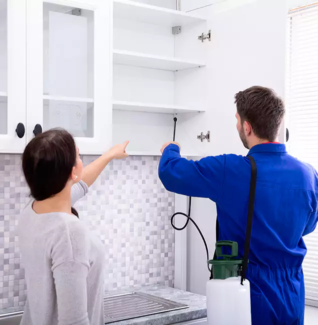 Why Woodstock Property Owners Choose Woodstock Pest Control Pro for Ground Bee Removal?