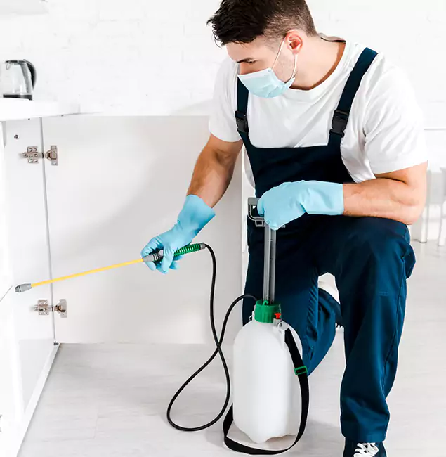 Why Choose Woodstock Pest Control Pro for Indoor Pest Control in Woodstock, GA?