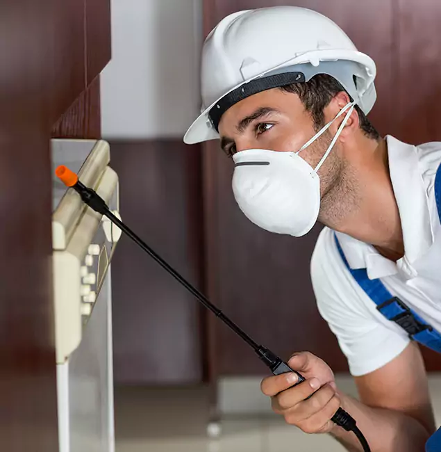 Why Woodstock Homeowners Rely on Woodstock Pest Control Pro for Tick Treatment?