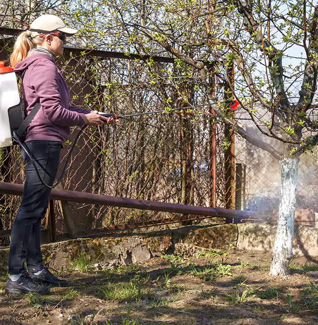 Why Woodstock Homeowners Choose Woodstock Pest Control Pro for Mosquito Abatement?