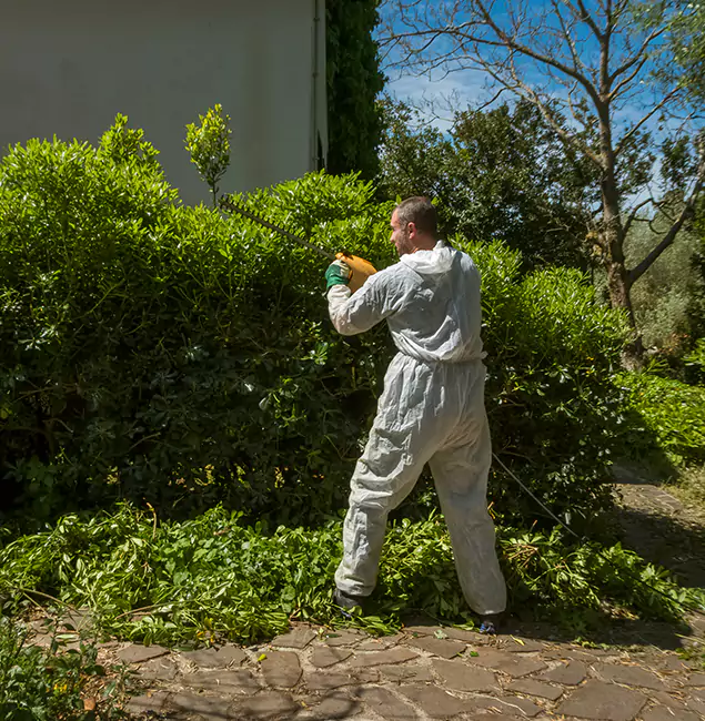 Why Woodstock Pest Control Pro Leads Mosquito Control in Woodstock, GA?