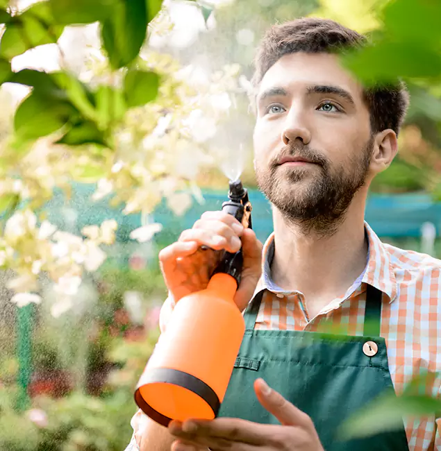 Why Woodstock Pest Control Pro Is the Best Mosquito Control Company in Woodstock, GA?