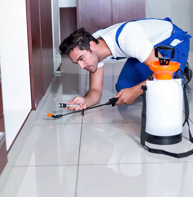 Why Woodstock Pest Control Pro Is the Proven Choice in Woodstock, GA?
