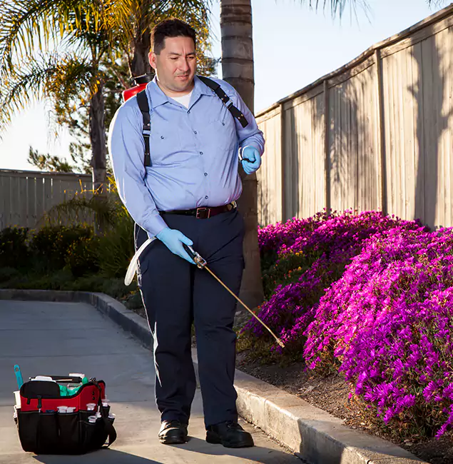 Why Choose Woodstock Pest Control Pro in Woodstock, GA?