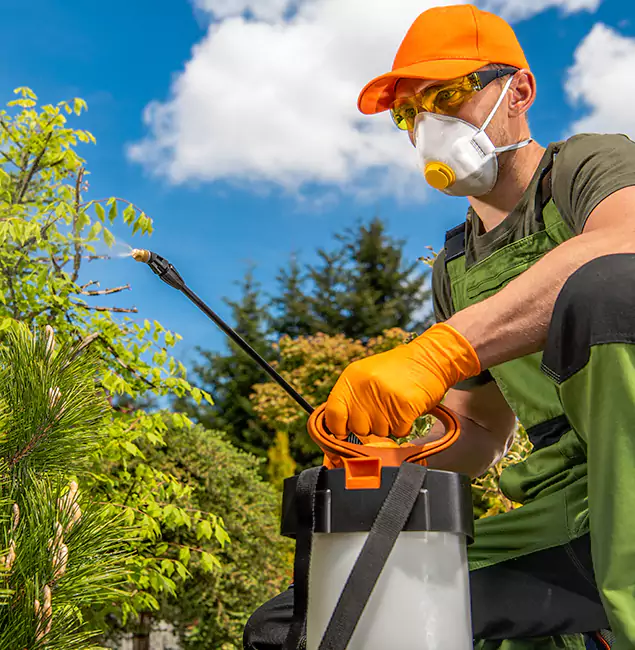 Why Choose Woodstock Pest Control Pro for Outdoor Pest Control in Woodstock, GA?