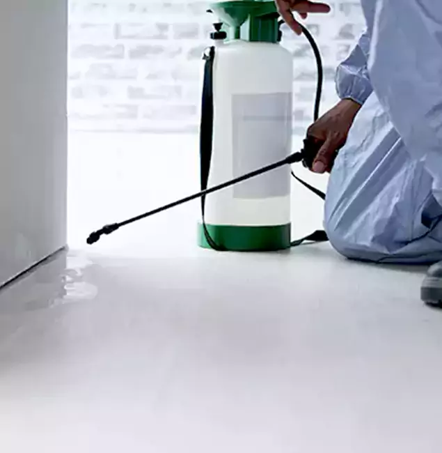 Why Choose Woodstock Pest Control Pro for Rat Exterminator in Woodstock, GA?