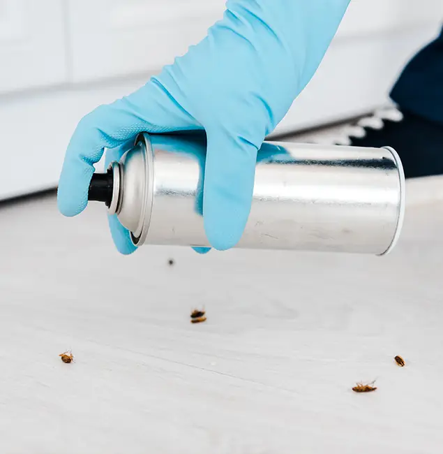 Why Choose Woodstock Pest Control Pro for Safe Bed Bug Treatment in Woodstock, GA?