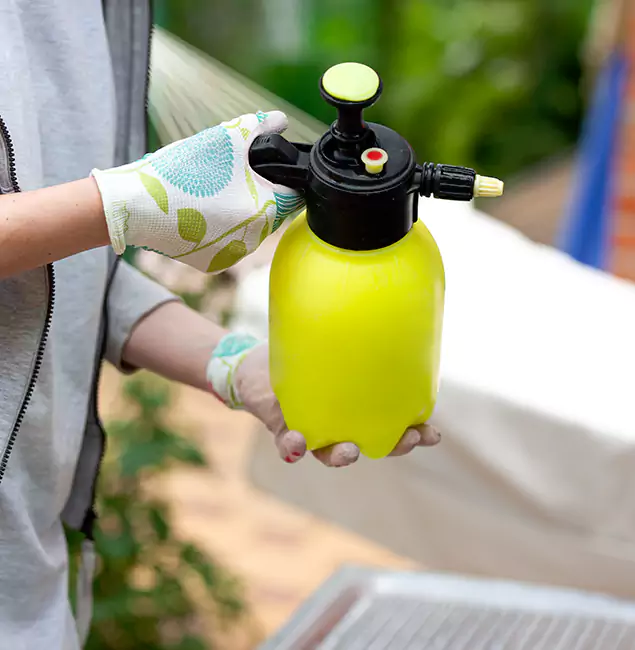 Why Choose Us: Woodstock Pest Control Pro Termite Spraying Experts in Woodstock, GA?