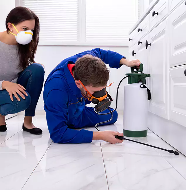 Why Choose Wood Termite Treatment by Woodstock Pest Control Pro in Woodstock, GA?