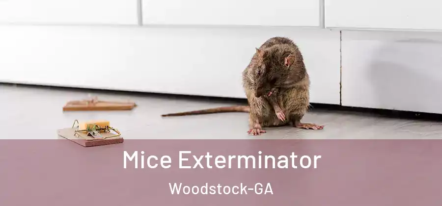 Mice Exterminator Woodstock-GA