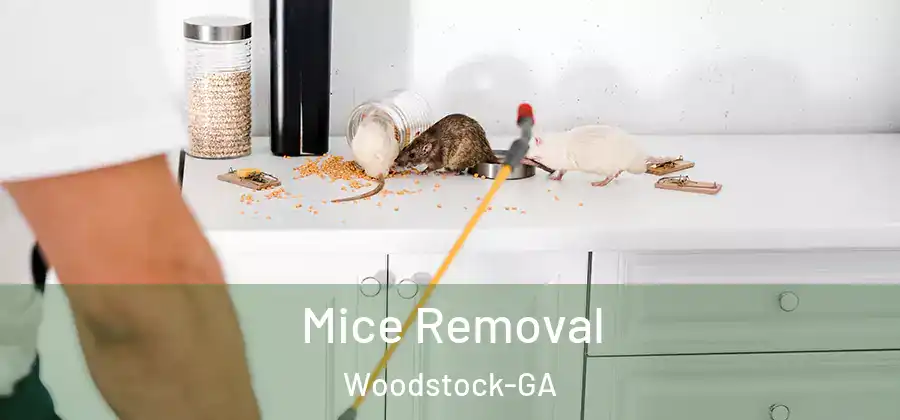 Mice Removal Woodstock-GA