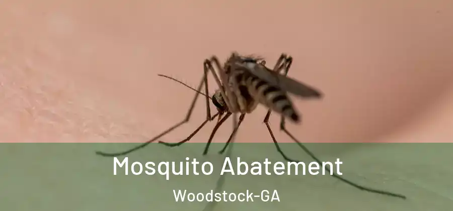 Mosquito Abatement Woodstock-GA