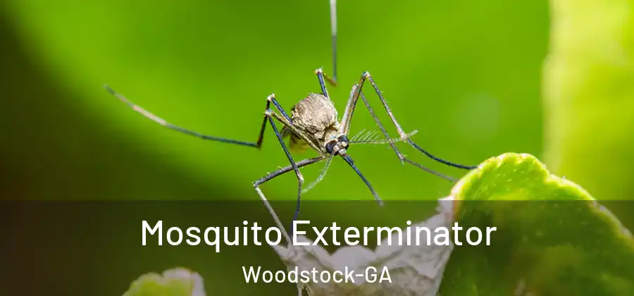 Mosquito Exterminator Woodstock-GA