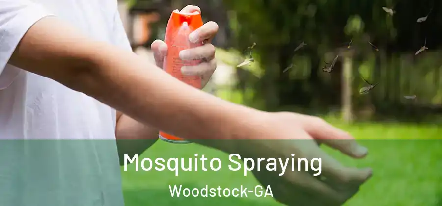 Mosquito Spraying Woodstock-GA