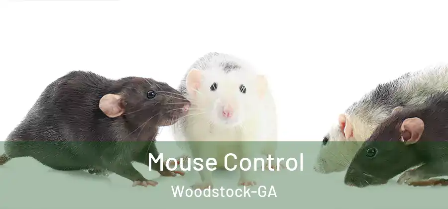 Mouse Control Woodstock-GA