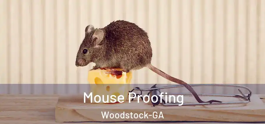 Mouse Proofing Woodstock-GA